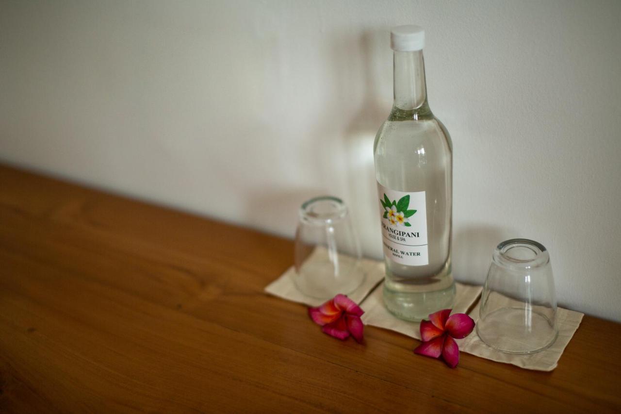 Frangipani House And Spa By Ecommerceloka Canggu Eksteriør bilde